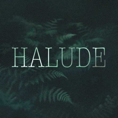 Profile Picture for user: halude