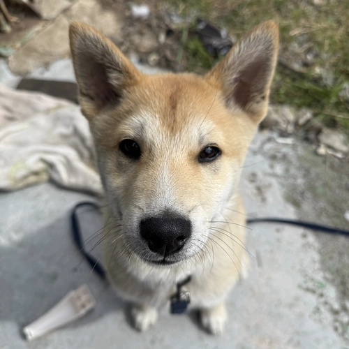 Profile Picture for user: p2ngp5ng